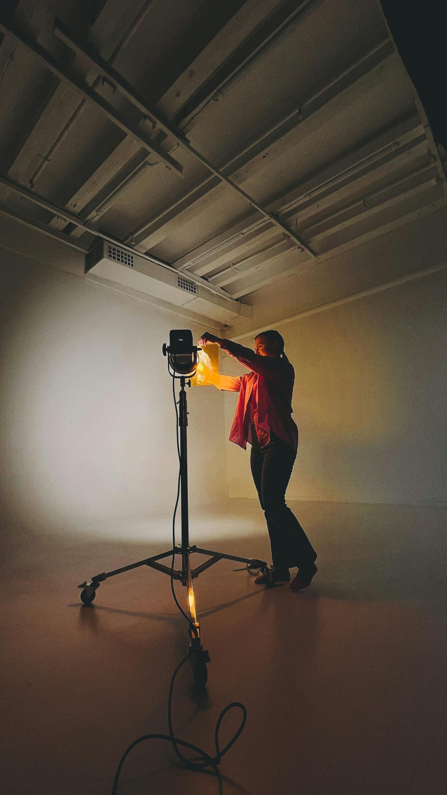 Training & Consulting